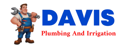 Trusted plumber in MESENA